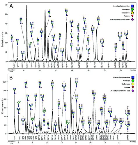 Representative Chromatograms Of Hilic Uplc Flr Profiled N Glycans A