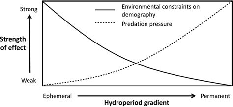 The Effect Of Hydroperiod And Predation On The Diversity Of Temporary