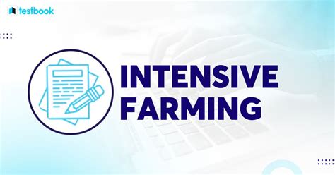 Intensive Farming in India: Know Characteristics, Types, Examples