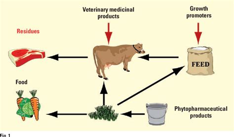 Presence Of Antibiotic Residues In Livestock Product And Public Health