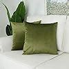 Amazon Artcest Set Of 2 Decorative Velvet Throw Pillow Cases Soft