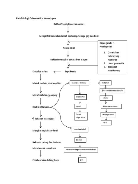 Patofisiologi Osteomielitis Hematogen Pdf