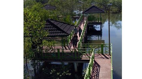 CARI JAWABAN Jelaskan Potensi Sumber Daya Hutan Mangrove Di Indonesia