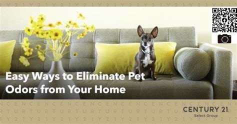 Easy Ways To Eliminate Pet Odors From Your Home