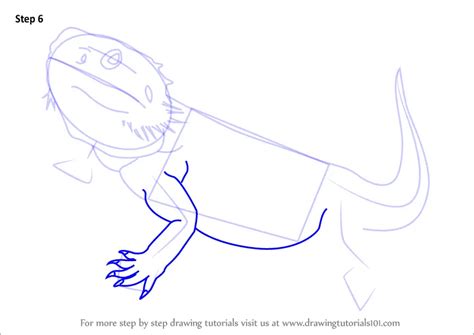 How to Draw a Bearded Dragon (Lizards) Step by Step ...