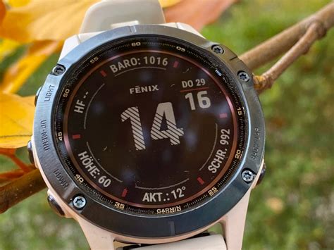 Garmin Rilascia L Aggiornamento Software Alpha Versione Per Gli