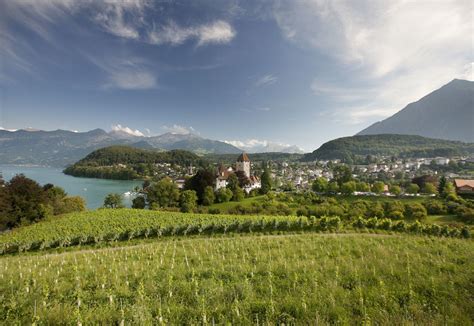 Strandweg Spiez Faulensee Gem Tlicher Spaziergang Am Thunersee