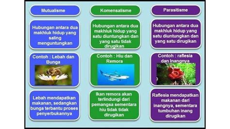 Simbiosis Mutualisme Manusia