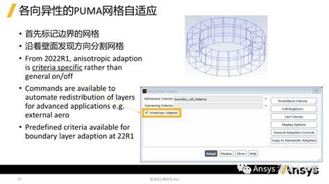 Fluent Mesh Adaption