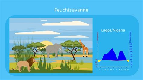 Savanne • Vegetationszone Savannentypen · Mit Video