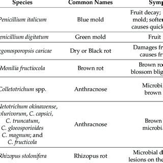 Mechanism Of Biocontrol Mechanism In Fruit And Pathogen The Biocontrol