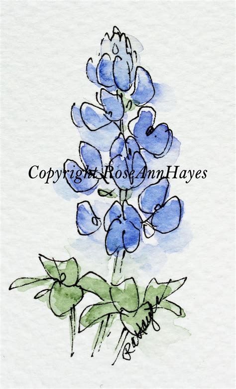 Bluebonnet Watercolors