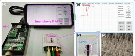 Picture Of The Portable Electrochemical Detection Of Glucose