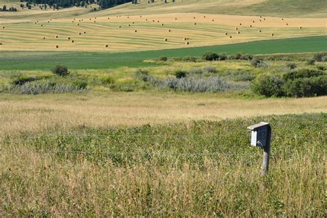 Mountain Bluebird Trails Conservation Society