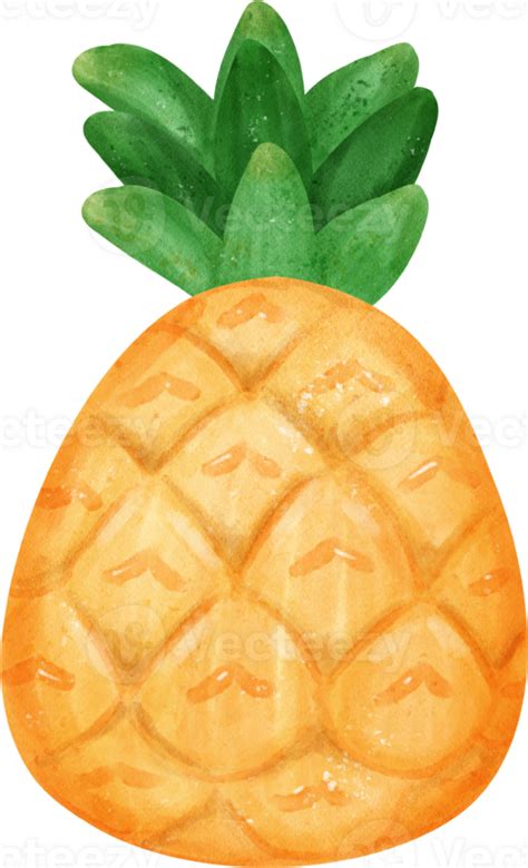 Free Cute Fresh Yellow Pineapple Whole Fruit Watercolor 23251793 Png