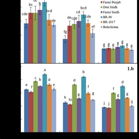 Interactive Effect Of Sowing Dates And Genotypes Of Guar Crop Grown