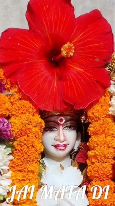 🙏🌺🌺🌹🌹🥥🥥 Jai Mata Di Teri Sada Hi Jai 🥥🥥🌹🌹🌺🌺🙏🙏 Youtube