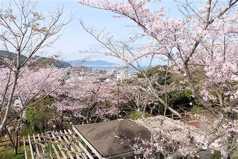 淡路島の桜の名所巡っちゃいました！地元で人気のお花見スポットから知る人ぞ知る穴場まで！ ホテルスタッフがこっそり教える淡路島のおいしい情報