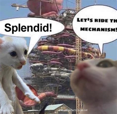 Some silly cat memes : r/cats