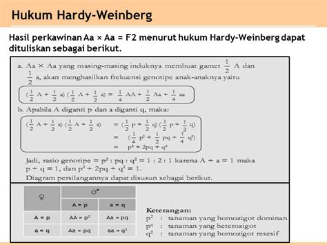 Soal Hukum Hardy Weinberg Ilmu