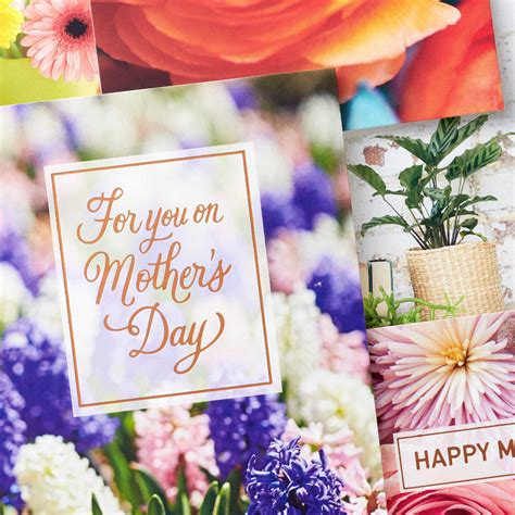 Gorgeous Florals Assorted Mother's Day Cards, Pack of 24 - Boxed Cards ...