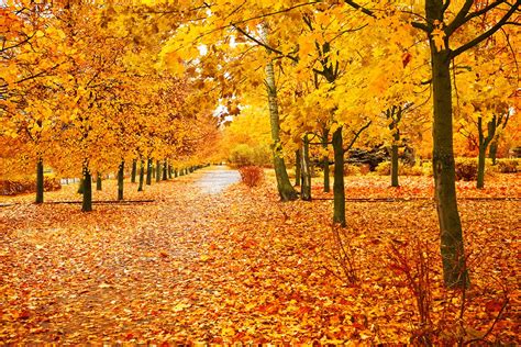 Zehn Gründe den Herbst zu lieben GEOLINO