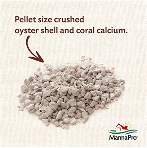 Reviews For Manna Pro Crushed Oyster Shell Egg Laying Chickens Bestviewsreviews