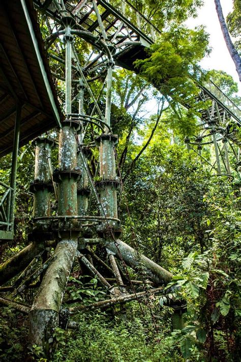 Canopy Walk Tower in the Rainforest Discovery Centre in Sepilok, Borneo, Malaysia Stock Photo ...