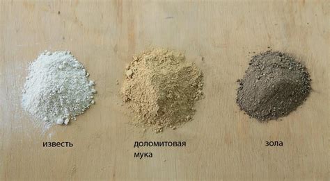 Садовий центр "WestGard" - 🌿Зола, известь и доломитовая мука: как ...