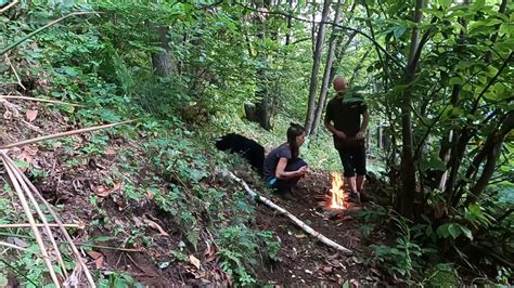 Castagnata In Silenzio Nel Bosco Con Il Canto Della Natura Relax