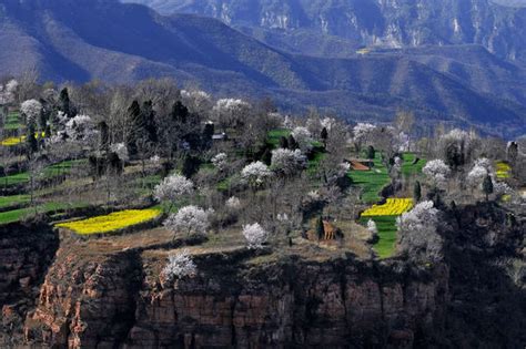 【河南醉美春色】赏春浮戏山 十步一景山花相映 大河网