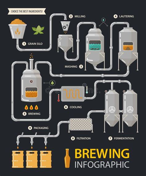 Etapas De La Producción De La Cerveza Símbolos Del Vector De La