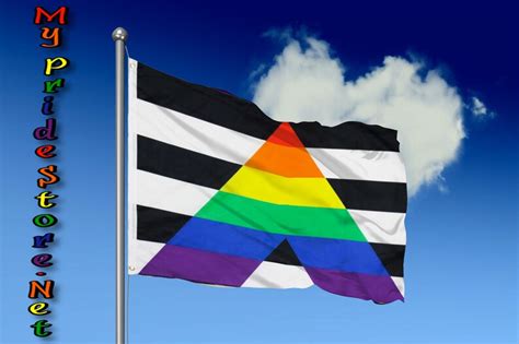 Gay Pride Ally Flag 3x5 Pride Flag - Etsy