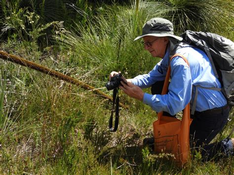 Congratulations To John Arney For APS Conservation Award Australian