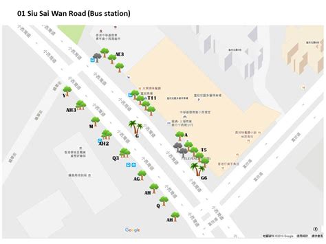 01 Siu Sai Wan Road Bus Station Tree Project