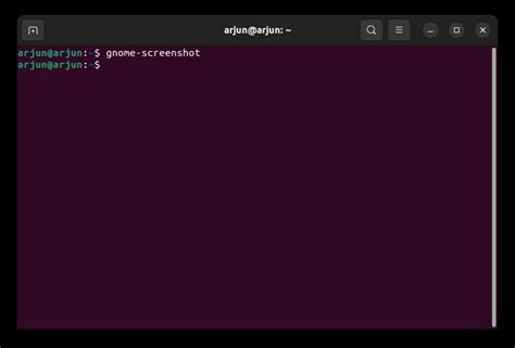 Como Tirar Uma Captura De Tela No Ubuntu Maneiras F Ceis Br Atsit