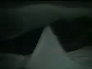 Naked Rena Niehaus In La Orca