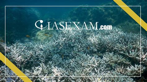 Climate change is killing the world's coral reefs: Study - IAS EXAM