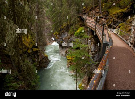 Catwalk Above Johnston Creek Along Johnston Canyon Trail Banff