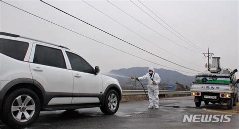 충북 구제역 이동제한 15일 해제농가 안도의 한숨 네이트 뉴스