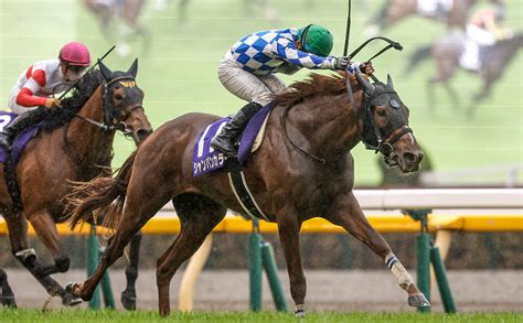 2023年 Nhkマイルカップg1を写真で振り返る【シャンパンカラー 内田博幸騎手】 競馬まとめ Netkeiba