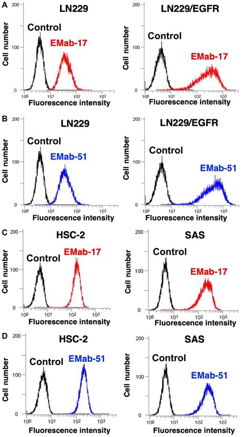 A Novel Anti EGFR Monoclonal Antibody EMab 17 Exerts Antitumor