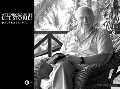 TV Review: Attenborough's Life Stories - Episode # 1 - Life on Camera ...