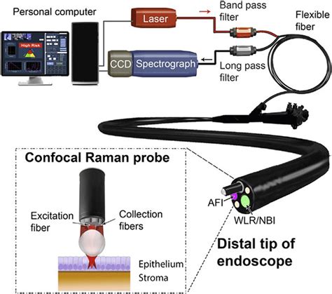 The Rapid Fiber‐optic Confocal Raman Spectroscopy System Developed For