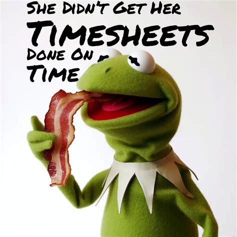 Timesheet Memes - TimeTrex