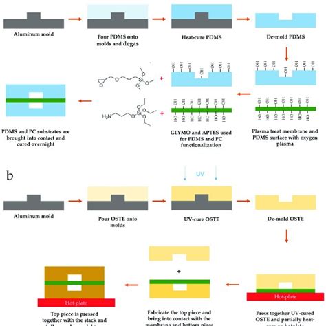 Lung On A Chip Loac Device Fabrication Workflow A Download