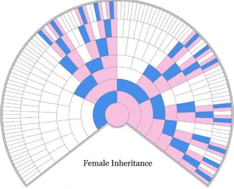 Charts for Understanding DNA Inheritance – Family Locket