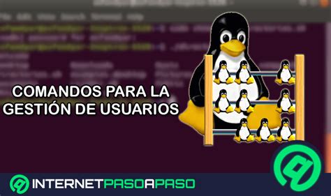 Comandos para Gestionar Usuarios de Linux Qué Son Lista 2024