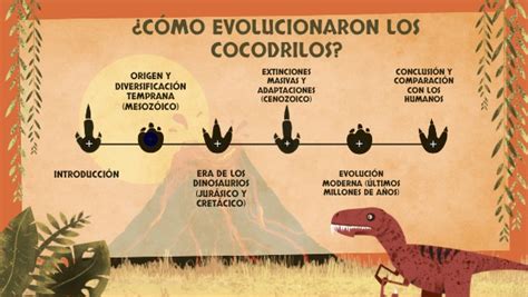 Evolución Del Cocodrilo