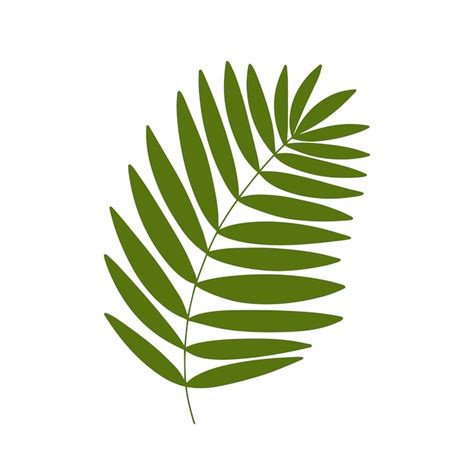 Premium Vector | Palm leaf vector illustration flat palm tree leaf isolated